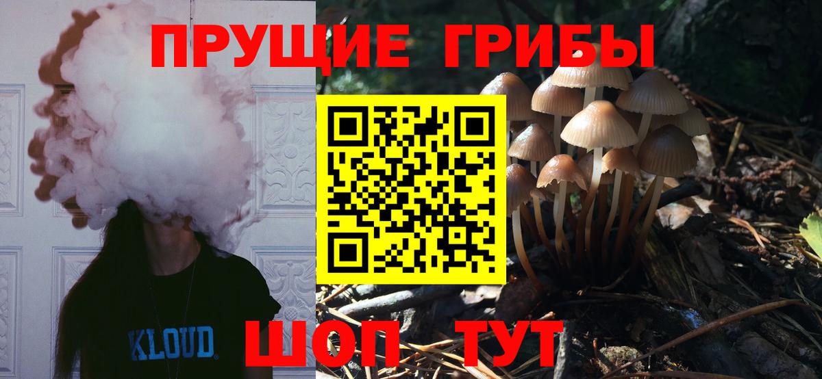 Заречный  Псилоцибиновые грибы прущие грибы  Вход с VPN  Псилоцибиновые грибы прущие грибы 